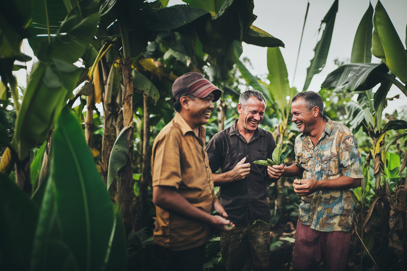 Three men talking in a banana plantation.